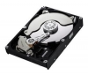 SAMSUNG Pevný disk SpinPoint HD502HJ - 3,5