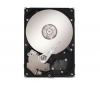 SEAGATE Pevný disk SV35.5 Series - 500 GB - 7200 otácek - 16 MB - SATA-300 + Pouzdro SKU-HDC-1 + Externí skrín 3,5