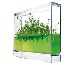 ANTQUARIUM Plantarium + Kidzlabs Green Science - vetrný generátor